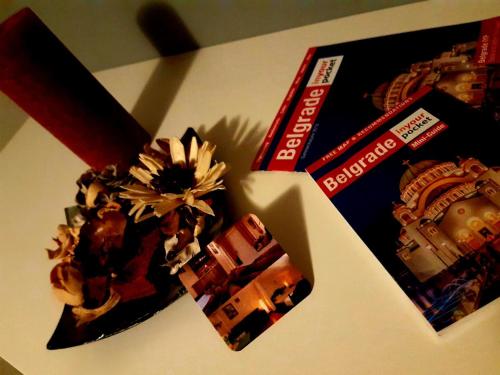 Natura Apartmant - image 9