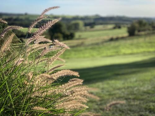 L'Impasse de Lincé