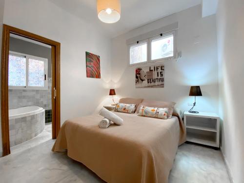 Valencia Centro. Wifi/AACC Jacuzzi, Valencie (fotografie 6)