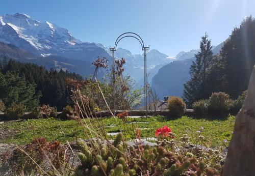 Chalet Ledibach Chalet Ledibach