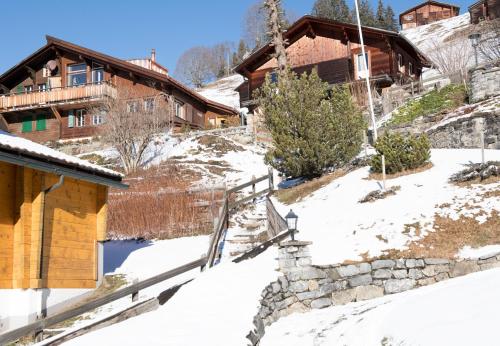 Chalet Ledibach - image 11