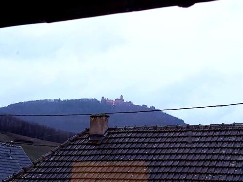 charmant appartement alsacien in Saint-Hippolyte (Alsace)