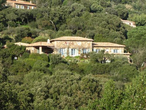 Massacan-Vue Mer - Chambre d'hôtes - Le Lavandou