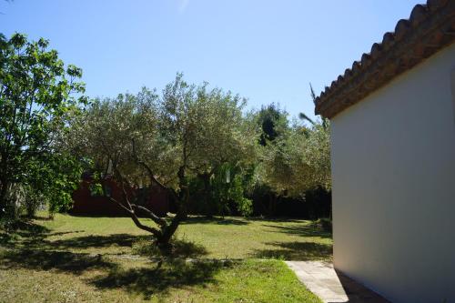 Studio au coeur de la petite camargue