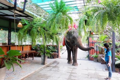 The Park Ayutthaya Resort and Spa - 주변 환경