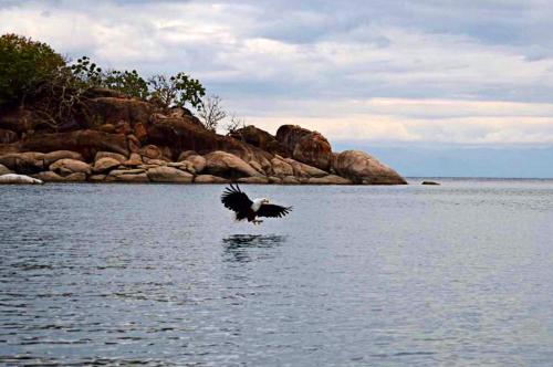 Mgoza Lodge Mgoza Lodge