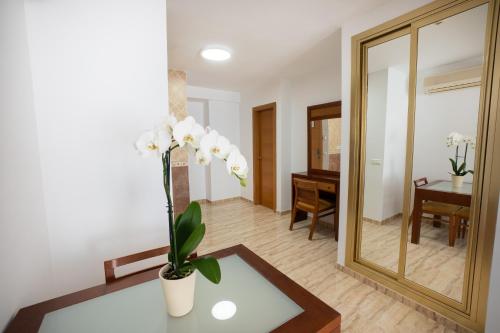 Apartamentos Jimmy - image 8