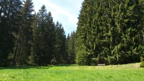 Ferienhaus Bad Hundertpfund Typ A in Grossbreitenbach