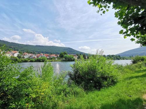 Ferienwohnungen Flussufer - Neckargemünd Altstadt