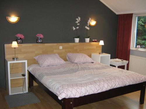 B&B De Tobbedanser Harlingen