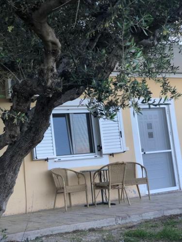 Αgrilitsa House in Vasilitsi