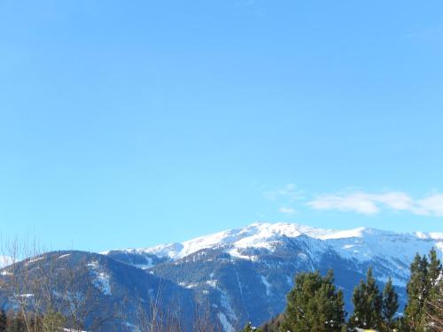 AlpenChalet Mitterberg - image 11