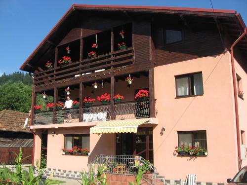 Accommodation in Rucăr