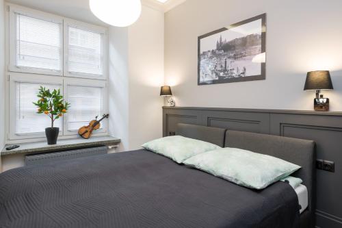LUXURY Apartment at the Main Square, Cracovie (photo 4)