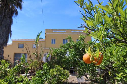 Kert, Alojamiento rural Masía Valldepérez (Alojamiento rural Masia Valldeperez) in Camarles
