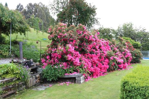 山景度假屋 山景度假屋