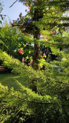 Departamentos De la Plaza