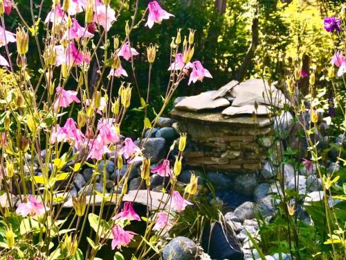 Departamentos De la Plaza