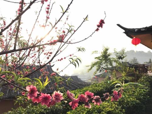 Lee Wine Ruk Thai Resort thumbnail 5