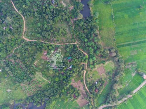 Download Sigiri Uyana In Sigiriya Sri Lanka Reviews Price From 29 For Android Get Wallpaper Sigiri Uyana In Sigiriya Sri Lanka Reviews Price From 29 For Android