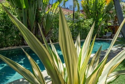 Villa Teman - Luxury 4BR Villa in Central Seminyak - HUGE POOL - image 3