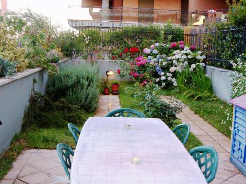 Airport Roof Garden - image 8