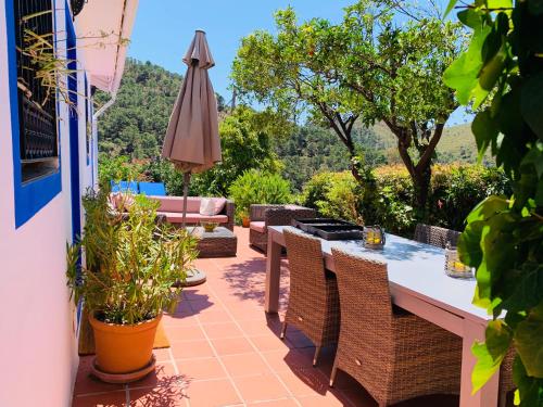 Finca Santa Ana - image 13