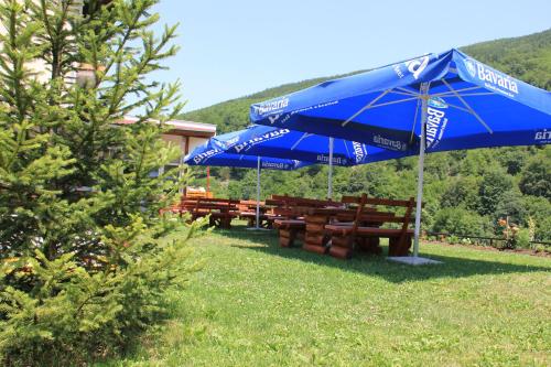 Motel Bavaria - image 4