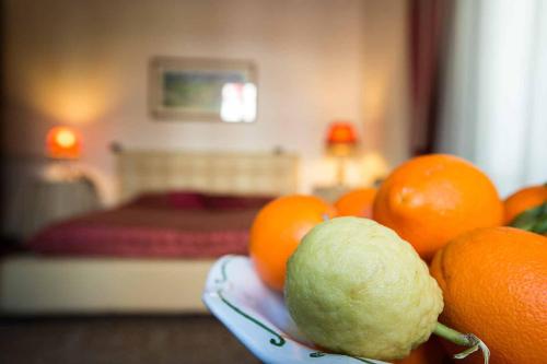 Etnea suite 668