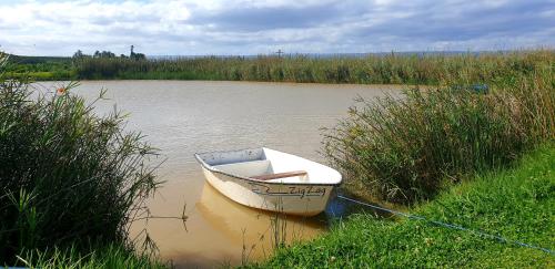 Surrounding environment, Summerville Place in Kirkwood