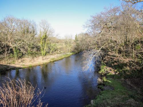 2 Bron Dwyfor - image 4