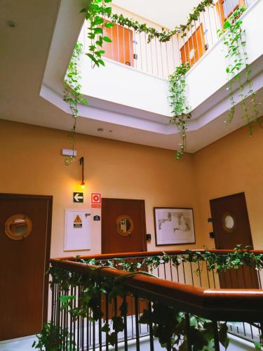 Hostal Casa Nautilus - image 6
