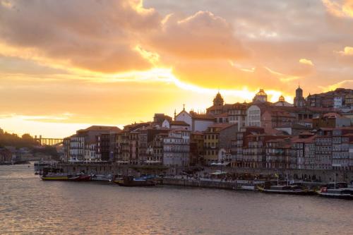  Douro Story in Vila Nova de Gaia