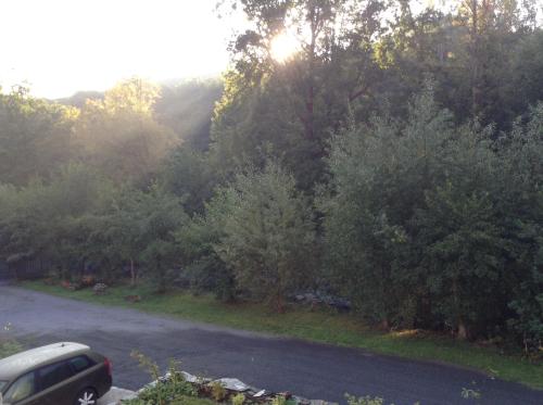 Pension Gesundbrunnen