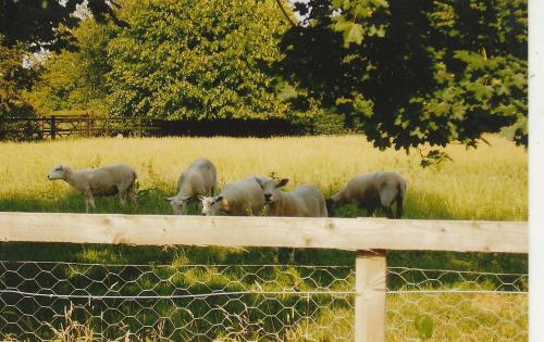 Bank Farm Cottages