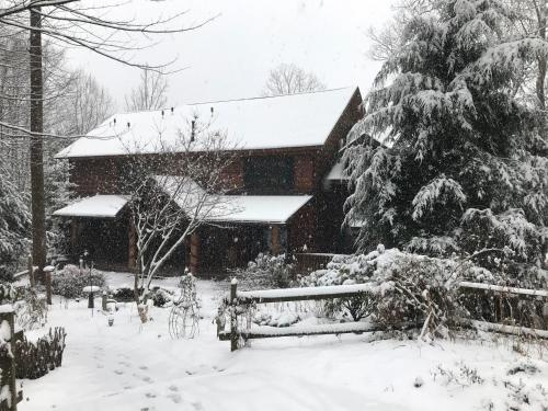 Lazy Bear Lodge