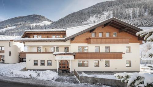   Appartement Alpenresidence, Pension in Steinhaus bei Sankt Peter im Ahrntal