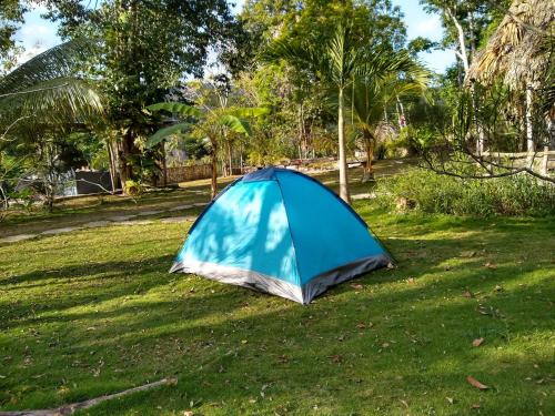 Alice guesthouse