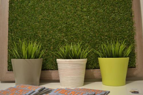 Green Domus - image 3