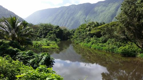 Hamakua Pukana La Hale home