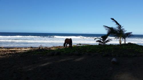 Hamakua Pukana La Hale home