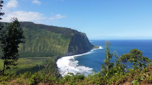 Hale Pikonia in Historic Honokaa Town home - image 3