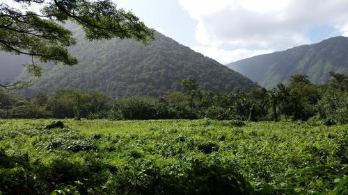 Hamakua Pukana La Hale home