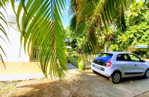 Bungalow PAPAYE - image 2