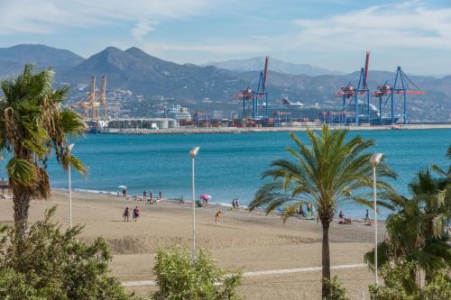 iloftmalaga Pacifico 41 - image 5
