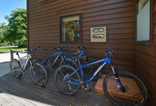 Manata Homestead & Lodge Manata Homestead & Lodge