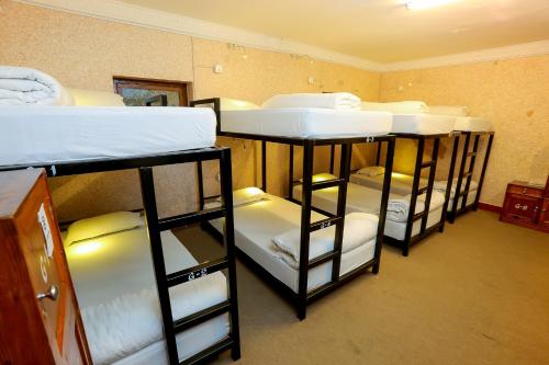 Gaurishankar Backpackers hostel – Pokhara, FL