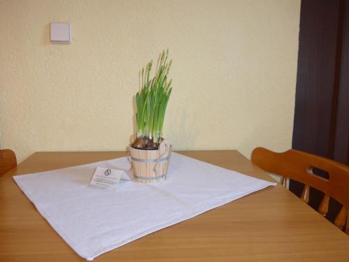 Pension Schütze - image 12
