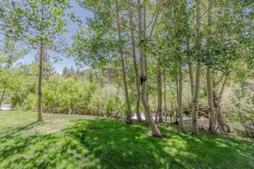 Snowcreek IV 550 - image 3