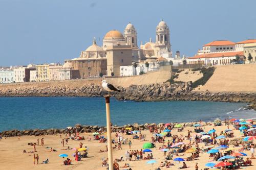 Apartamento Andujar - casco antiguo